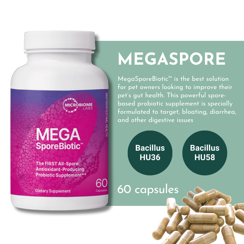 Mega Sporebiotic 180 Capsules – Gut Health Probiotic With Bacillus Subtilis – Men & Women