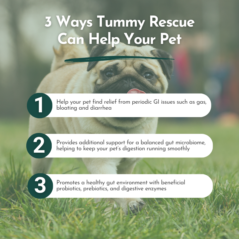 Tummy Rescue - Digestive Relief Supplements for Pets