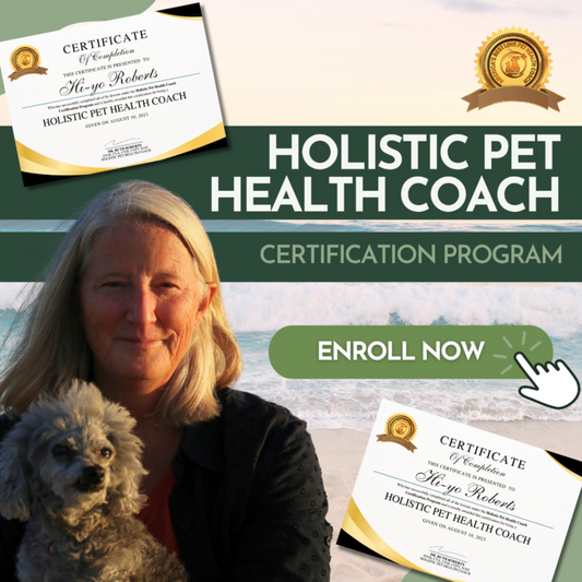 Holistic Pet Health Coach Certification Program