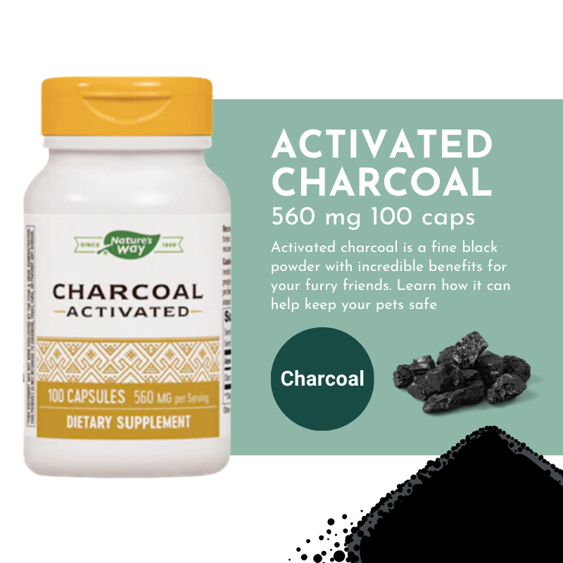 Activated Charcoal 560 mg 100 caps