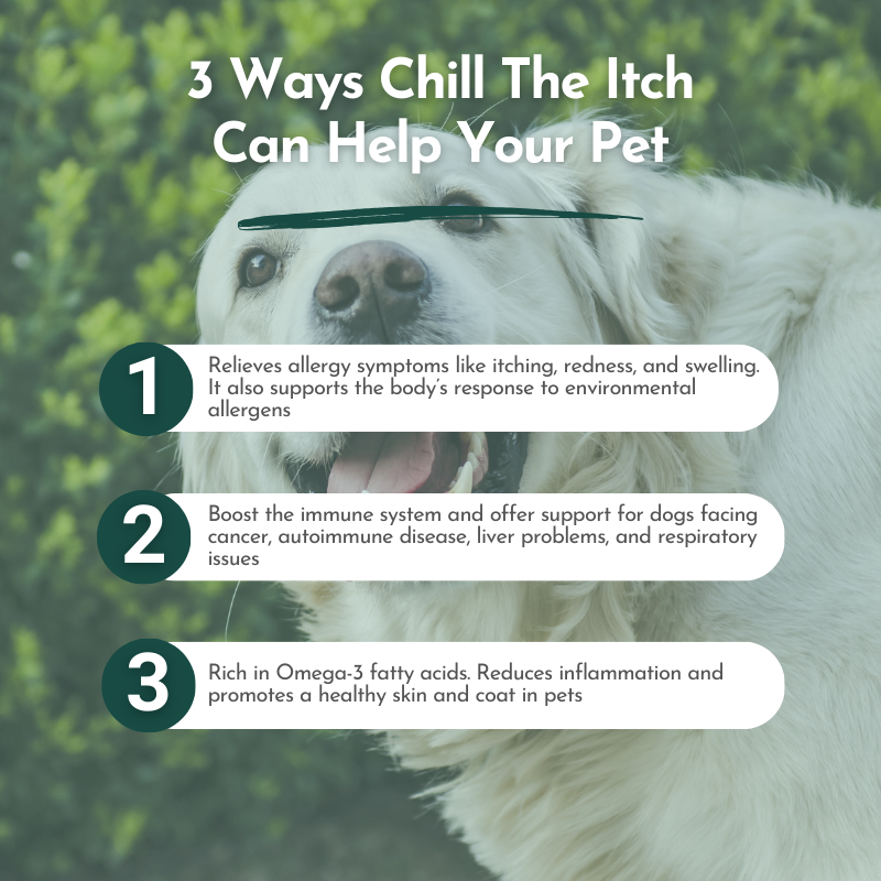 Chill The Itch - Itchy Skin Relief for Dogs & Cats