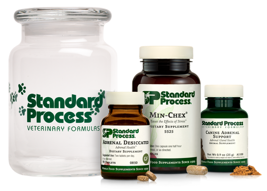 Adrenal Health Bundle