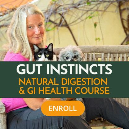 The Comprehensive Gut Instincts Natural Digestion & GI Health for Dogs and Cats