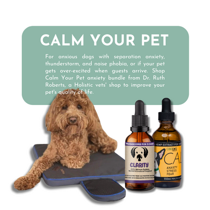 Calm Your Pet- Anxiety and Stress Relief for Cats and Dogs