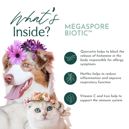 MegaSporeBiotic™ - The Best Gut Health Supplements for Pets - The best solution for pet owners looking to improve their pet’s gut health.
