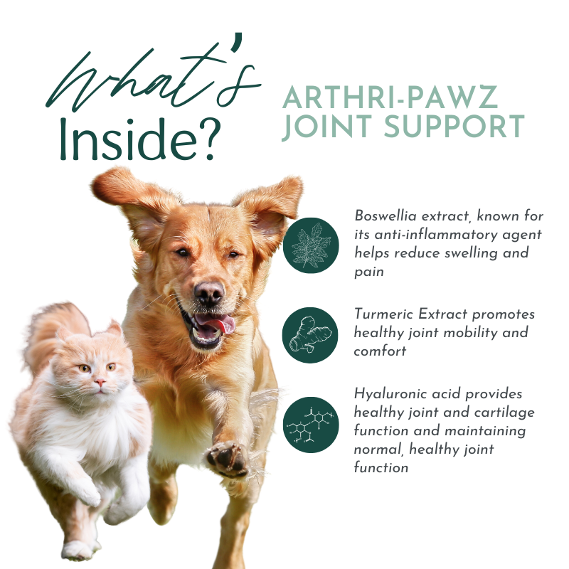 Arthri Pawz Best Joint Supplement for Dogs and Cats