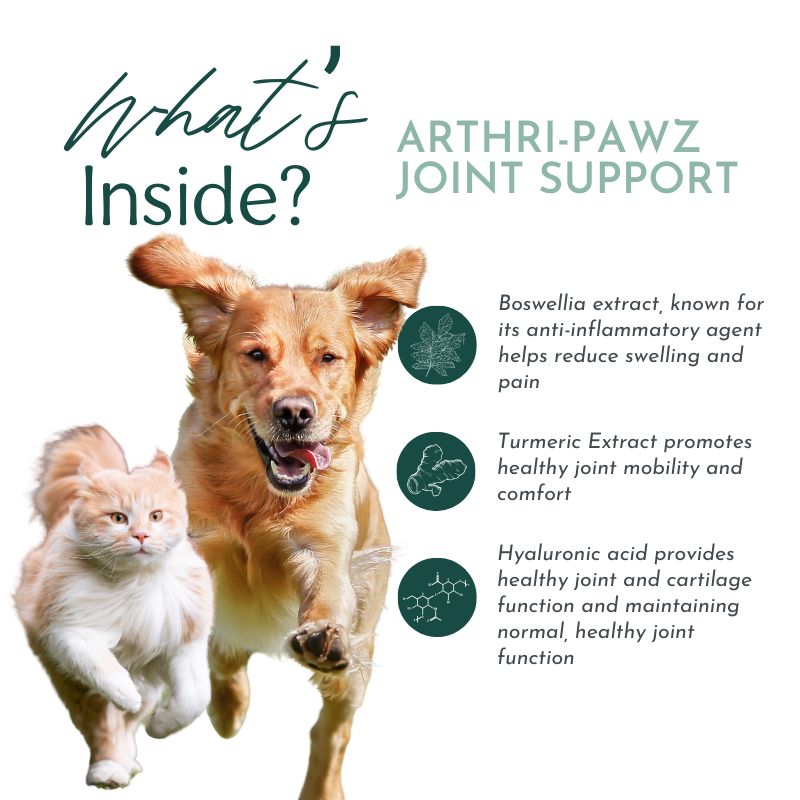 Arthri-Pawz - Best Joint Supplement for Dogs and Cats - It provides good nutrition for their joints, making them feel better and move around more easily.