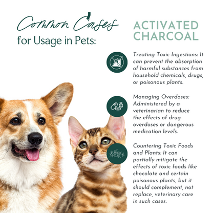 Activated charcoal dog chocolate deals