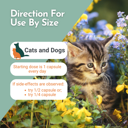 Direction For Use by Size MegaSporeBiotic™ - The Best Gut Health Supplements for Pets