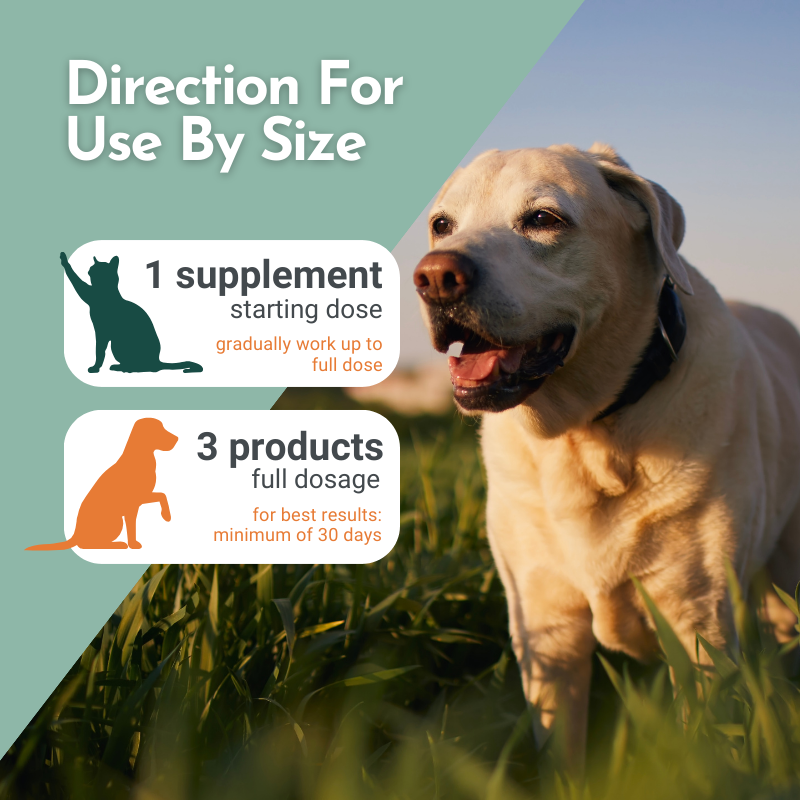 Tummy Rescue - Digestive Relief Supplements for Pets
