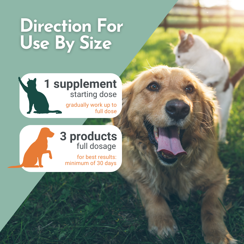 Best dog supplement hot sale for itchy skin