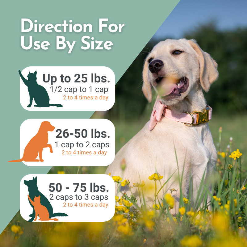 Direction for Use by Size Hista Paws - Herbal Allergy Supplement for Cats and Dogs