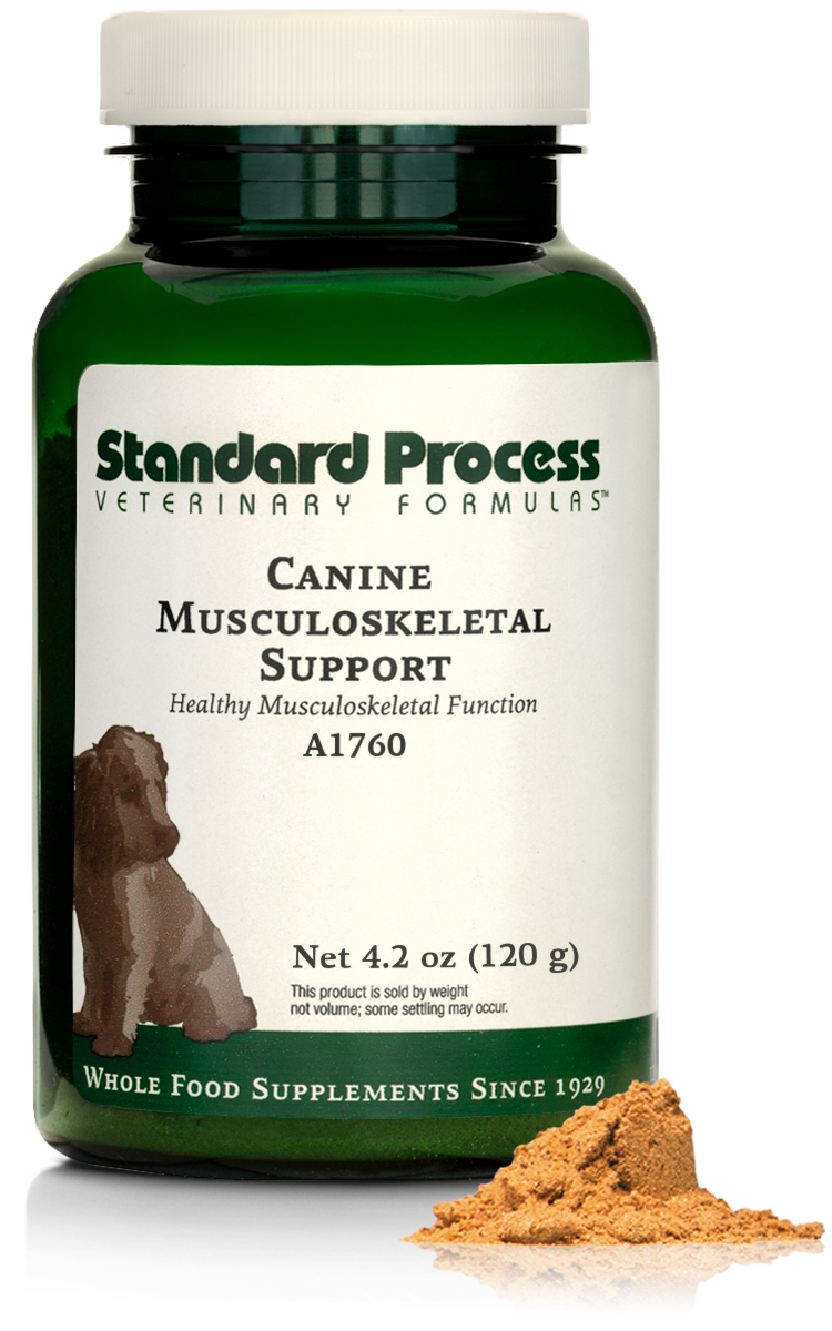 A bottle of Canine Musculoskeletal Support, a powder supplement for dogs’ muscles, ligaments and bone health, next to an image of the powder supplement.