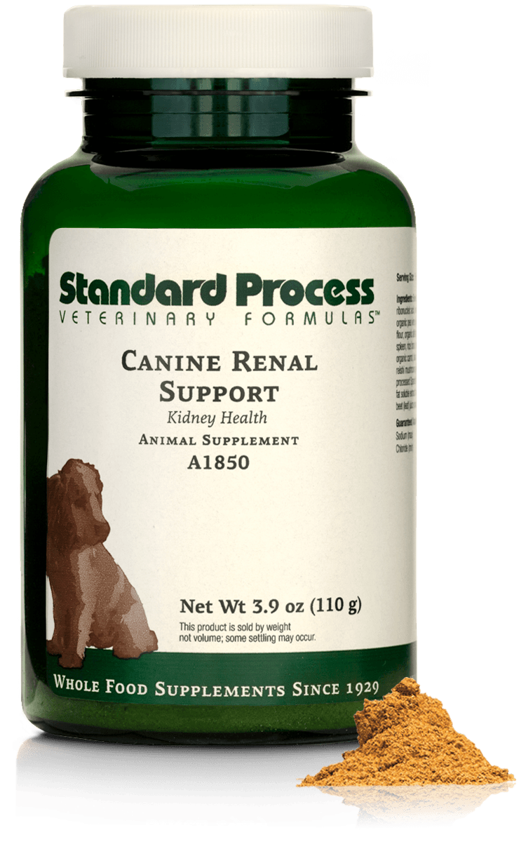 Canine Renal Support, 110 g