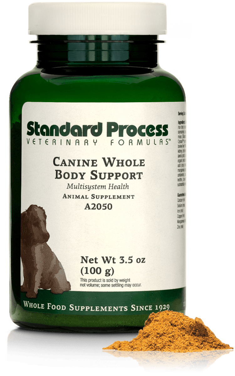 l-carnitine for dogs dosage Dogs: Energy, Weight, and Heart La Petite Labs What Is L-Carnitine For Pets?