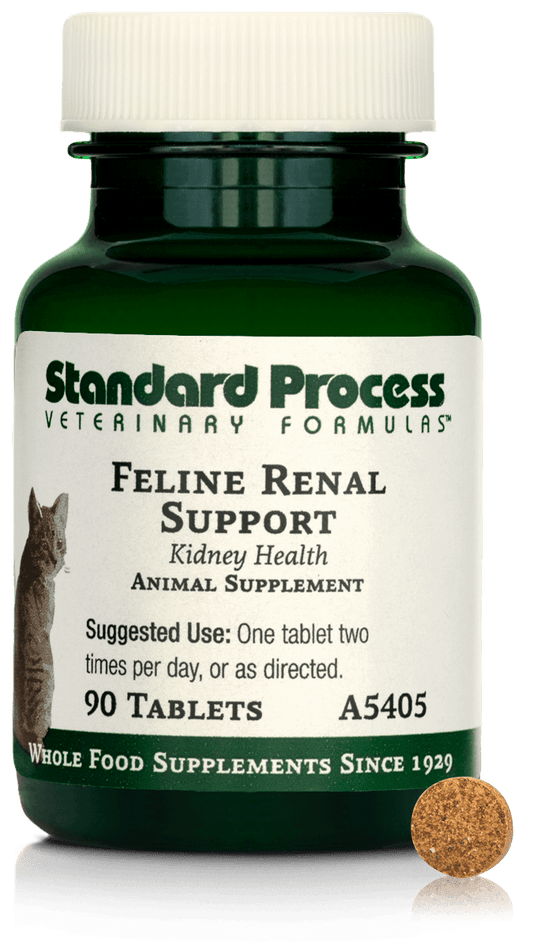Feline Renal Support, 90 Tablets
