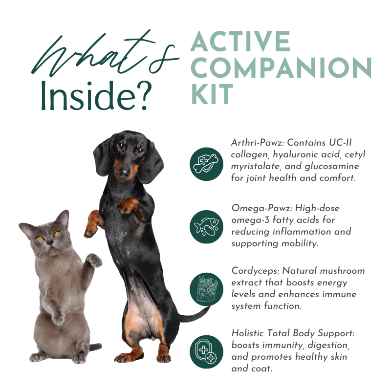 Active Companion Kit Dr. Ruth Roberts