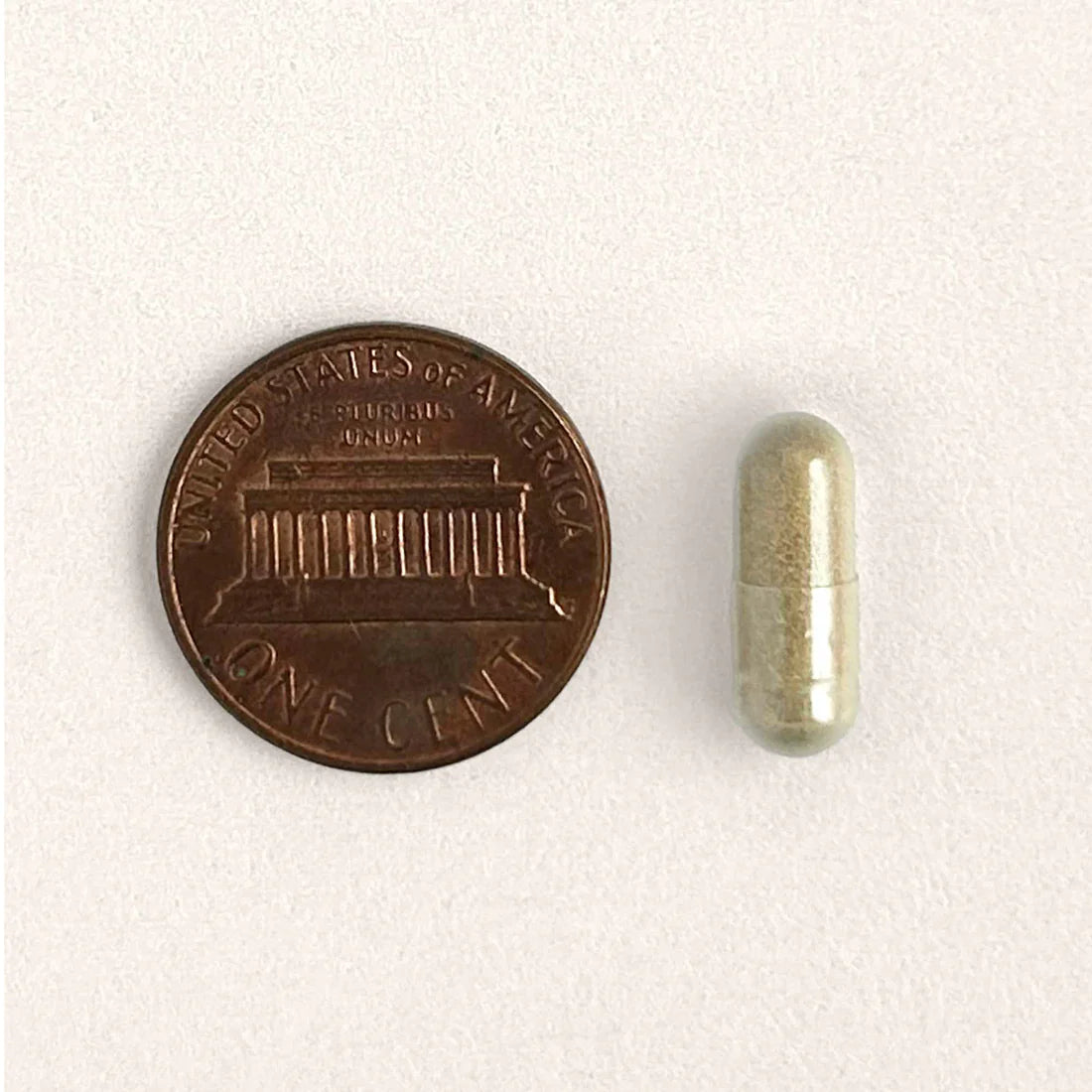 FMT Gut Restore: Ultimate Gut Restoration Supplement for Cats