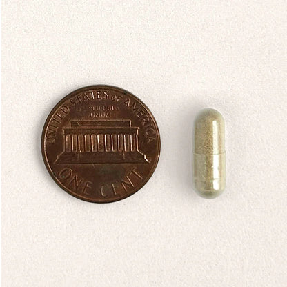 FMT Gut Restore: Ultimate Gut Restoration Supplement for Cats