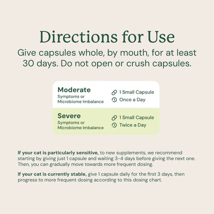 FMT Gut Restore: Ultimate Gut Restoration Supplement for Cats