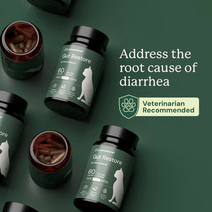 FMT Gut Restore: Ultimate Gut Restoration Supplement for Cats