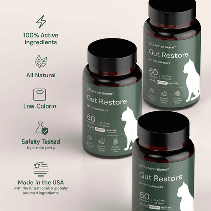 FMT Gut Restore: Ultimate Gut Restoration Supplement for Cats