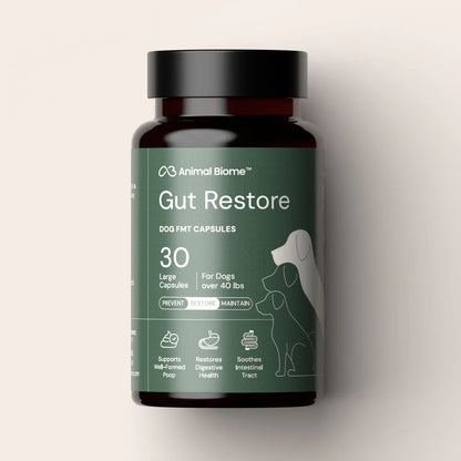 DoggyBiome™ Gut Restore Supplement | 30 Capsules