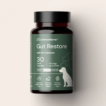 DoggyBiome™ Gut Restore Supplement | 30 Capsules