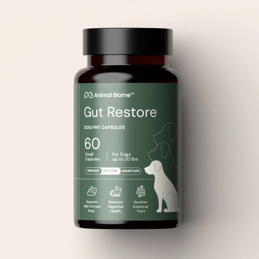 DoggyBiome™ Gut Restore Supplement | 60 Capsules