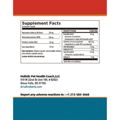 Arthri-Pawz – with Glucosamine for Cats and Dogs