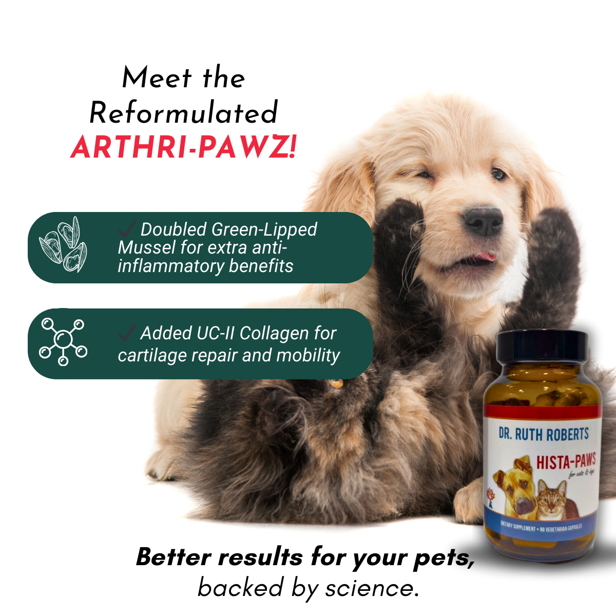 Arthri-Pawz - Best Joint Supplement for Dogs and Cats