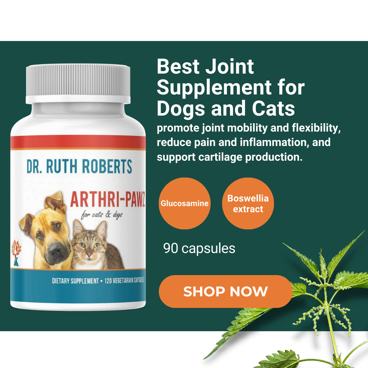 Arthri-Pawz - Best Joint Supplement for Dogs and Cats