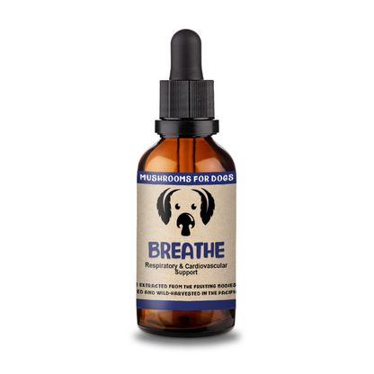 Breathe - Heart and Respiratory Supplements for Dogs