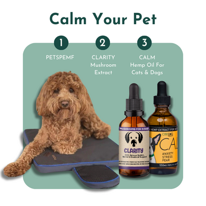 Calm Your Pet- Anxiety and Stress Relief for Cats and Dogs
