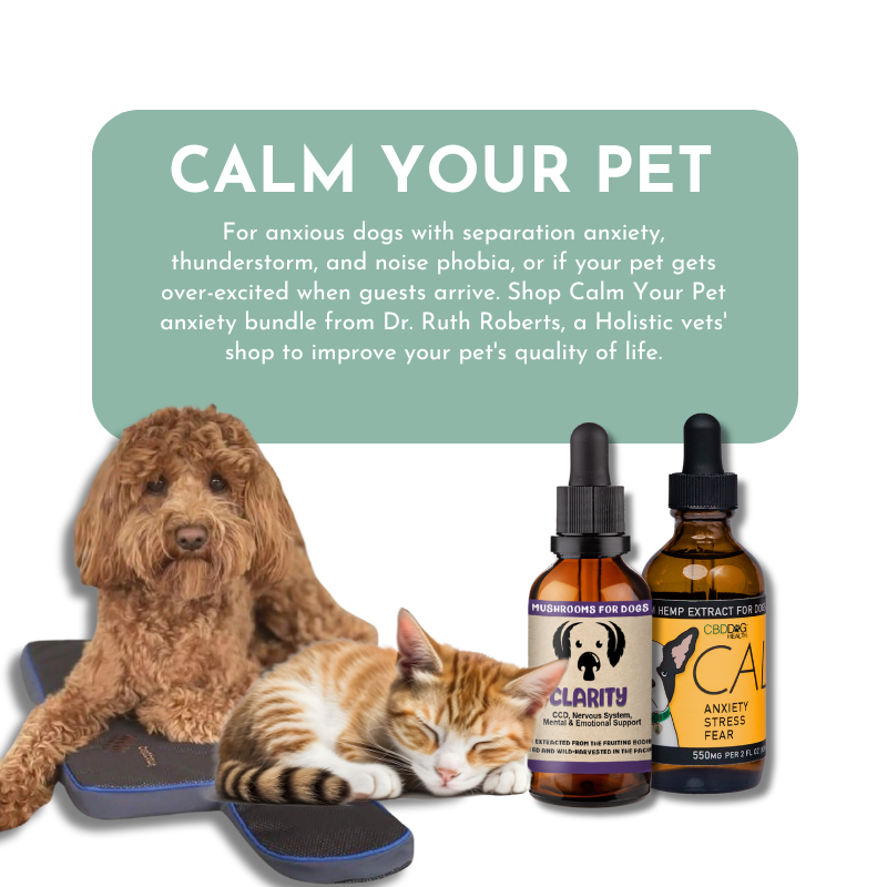 Calm Your Pet- Anxiety and Stress Relief for Cats and Dogs