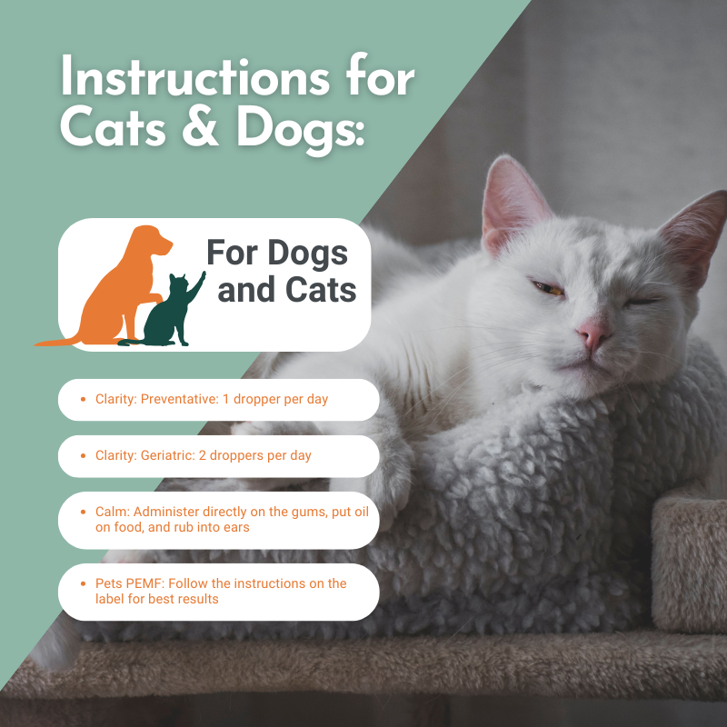 Calm Your Pet- Anxiety and Stress Relief for Cats and Dogs