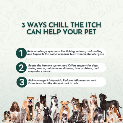 Chill The Itch - Natural Allergy Relief and Immune Boosting for Pets