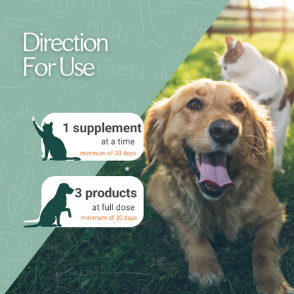 Chill The Itch Plus - The Ultimate Itchy Skin Relief for Dogs & Cats