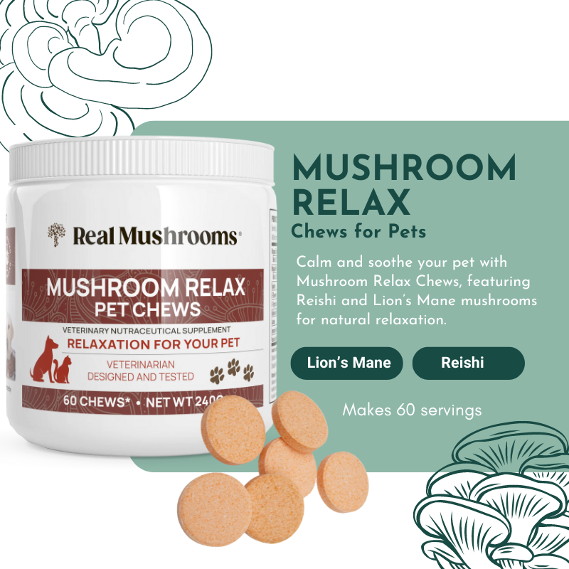 Mushroom Relax Pet Chews - Calming Treats for Dogs and Cats