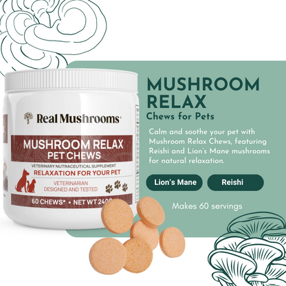 Mushroom Relax Pet Chews - Calming Treats for Dogs and Cats