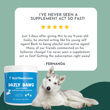 Daily Dawg Immune Powder for Dogs - Organic Mushroom Blend for Health & Longevity