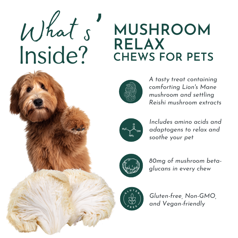 Mushroom Relax Pet Chews - Calming Treats for Dogs and Cats