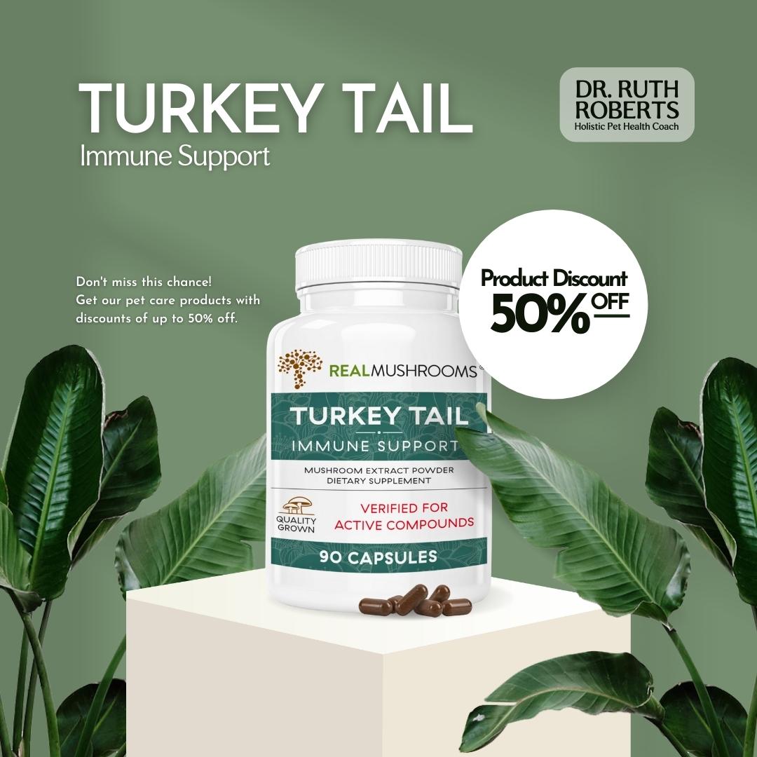 Real Mushrooms Turkey Tail for Cats and Dogs - Immune Support