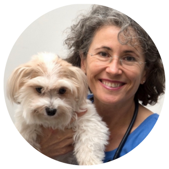 Dr. Odette Suter