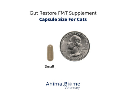 FMT Gut Restore: Ultimate Gut Restoration Supplement for Cats
