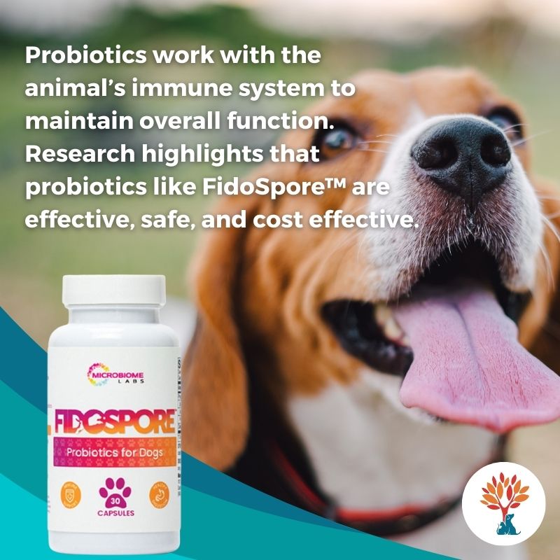 FidoSpore™ is the first probiotic supplement clinically shown to support digestive health in dogs.