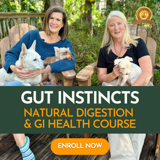The Comprehensive Gut Instincts Natural Digestion & GI Health for Dogs and Cats