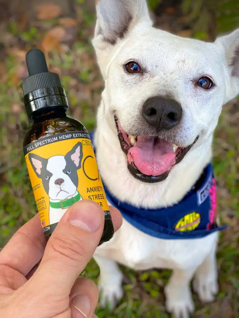 CALM: Hemp Oil for Dogs (Anxiety, Behavioral Issues, Promotes Balanced Emotional State)