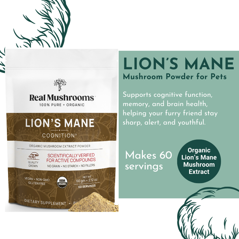 Lion's Mane Mushroom Powder for Pets (60 g)  – Brain Health & Cognitive Support