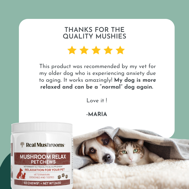 Mushroom Relax Pet Chews - Calming Treats for Dogs and Cats